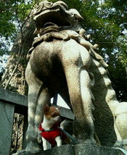 200505201331000.jpg