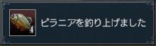ピラニア