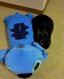 20060219_0238_0000.jpg
