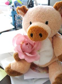 buta-chan