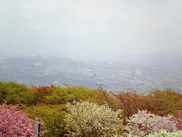美の山公園