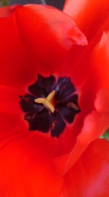 20080403135308.jpg