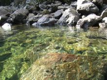 yakushima17