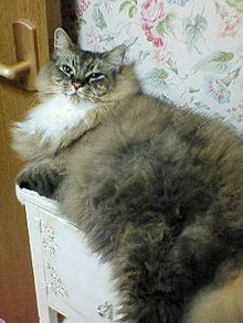 200806022306000.jpg