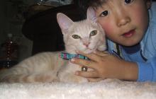 ８．９．１０…シビル&dodici&Treize