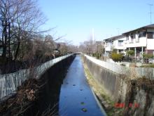 神田川上流
