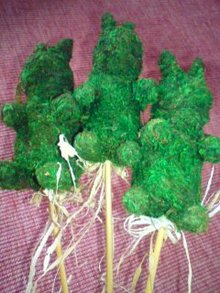 20080628145036.jpg