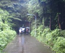 avant le tunnel