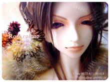 orgn018a