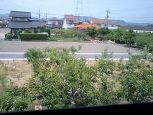 CA340282.jpg
