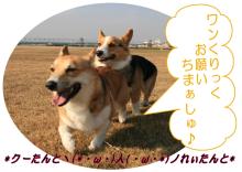 *クーたんとヽ(*・ω・)人(・ω・*)ノれぃたんと*