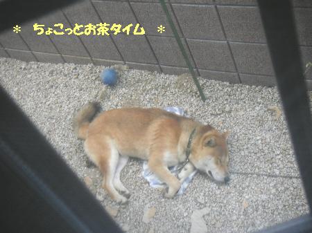 200708300289.JPG