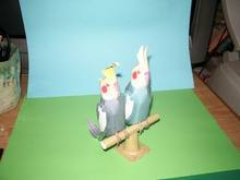 インコ