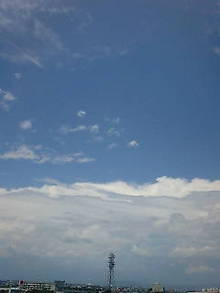 20080728113117.jpg