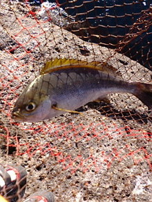 20080218082121.jpg