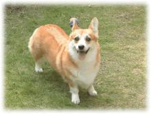 20051113_3