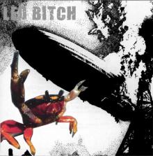ledbitch