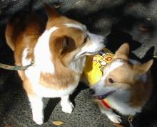 良いショット♪