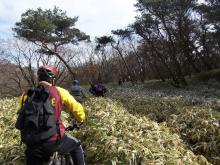 MTB