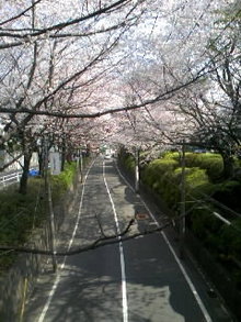 080328_0921~01.jpg
