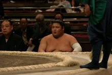 出羽鳳2005五月全勝対決_1
