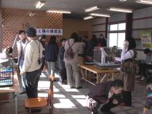南国の新之助のブログ-猫部屋2