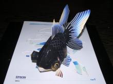 EPSON香港　黒出目金魚