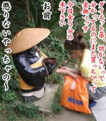 物乞い