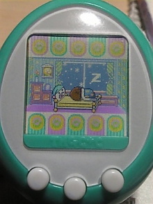 露草―――・・・　　(ﾂﾕｸｻ)-Image555.jpg