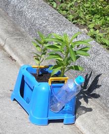 植木鉢