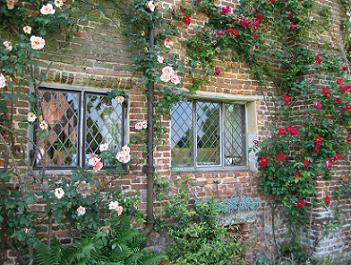 English garden