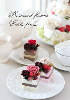 Lara’s Weblog-プチフール1