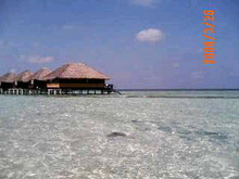 060326_132348.jpg