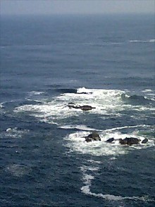 080719_1530~0002.jpg
