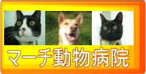 マーチ動物病院の三兄弟　　弥生つれづれ日記
