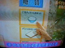 にゃーのダイエット日記