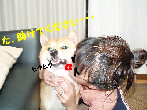 助けて