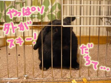 おれおにっき☆