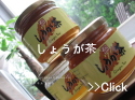 ショップチャンネルしょうが茶
