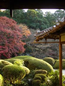 kyoto3
