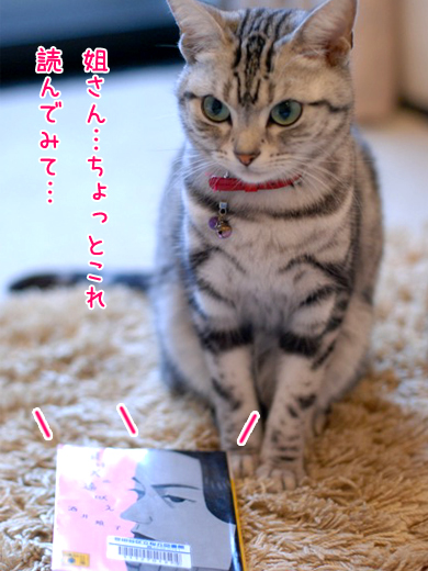 バンビ&ヒメ