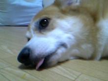 20051005_0