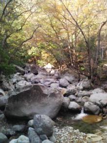 祖母山 川上渓谷