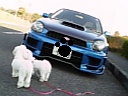 バンパー変更1