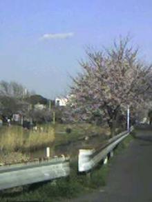 060331_1617~001.jpg