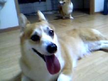 20050711_1