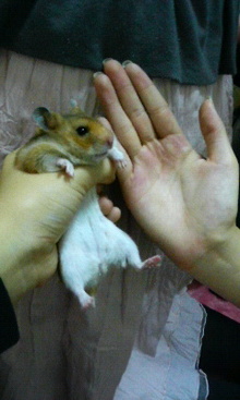 200811090250000.jpg
