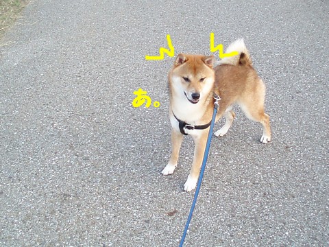 あ。