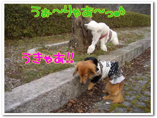 ＩＬＯＶＥミリィ～ミリィ～ちゃん～ｎｅｗ～