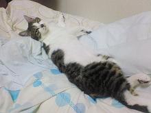 あん？